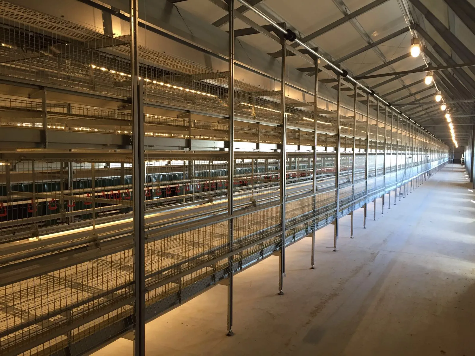 Lighting Program & Roosting Behavior