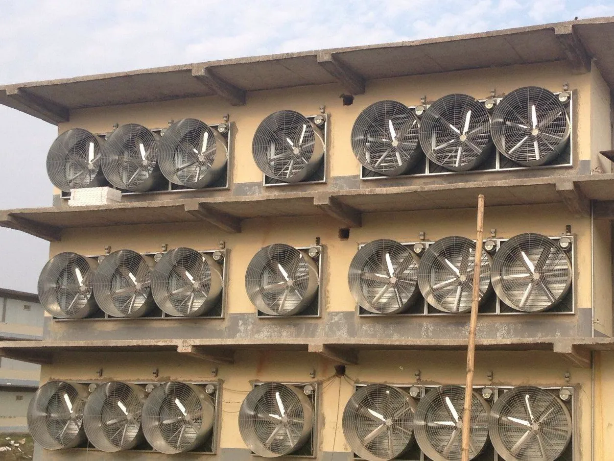 Wall-Mounted Exhaust Fans