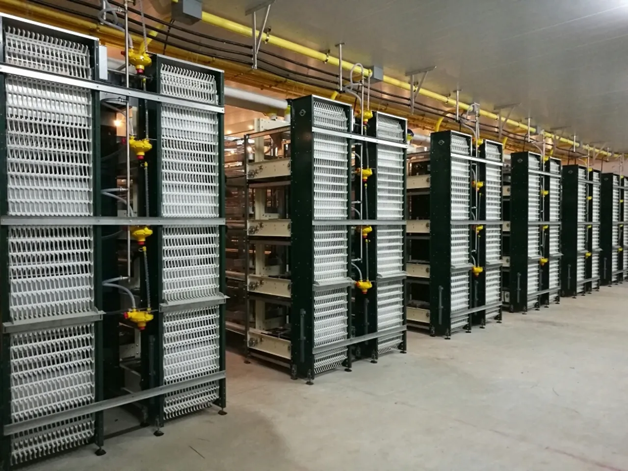 Feed System Row Overview