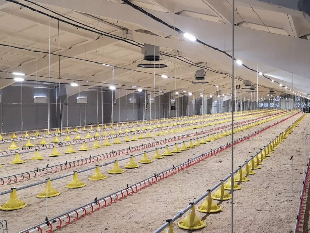 Golden Broiler Floor System