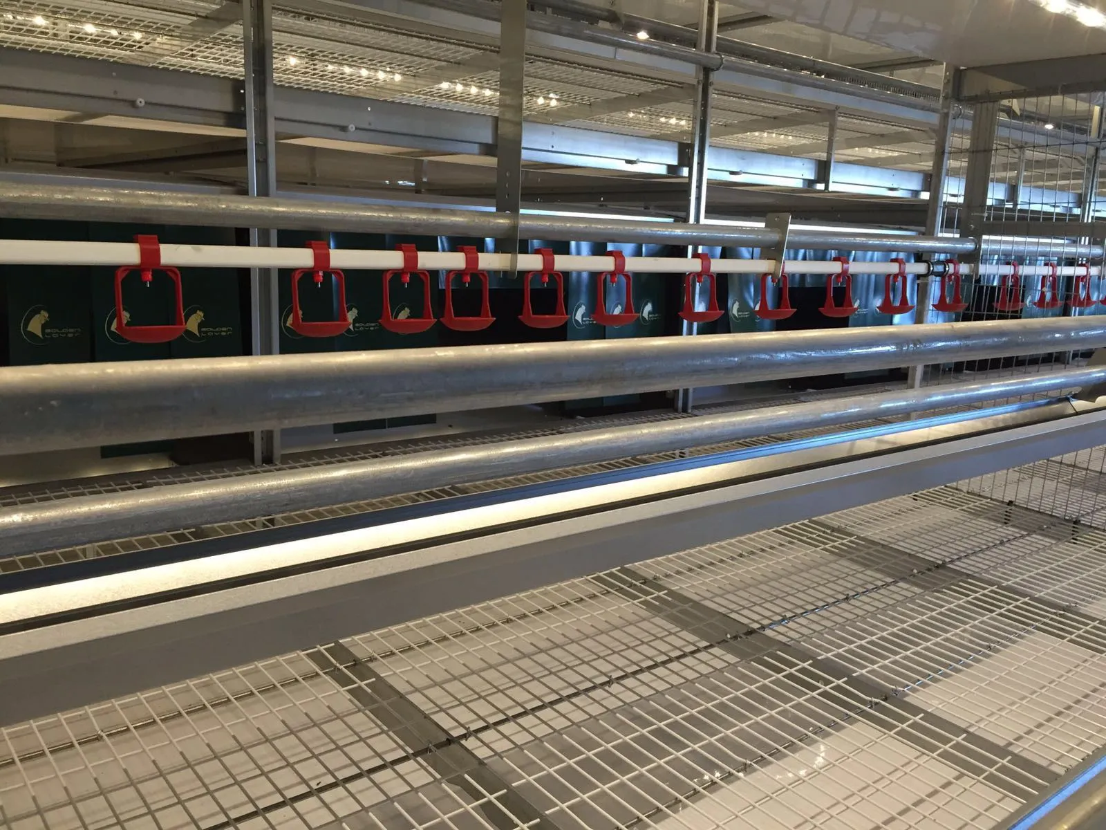 Nipple Drinker Line