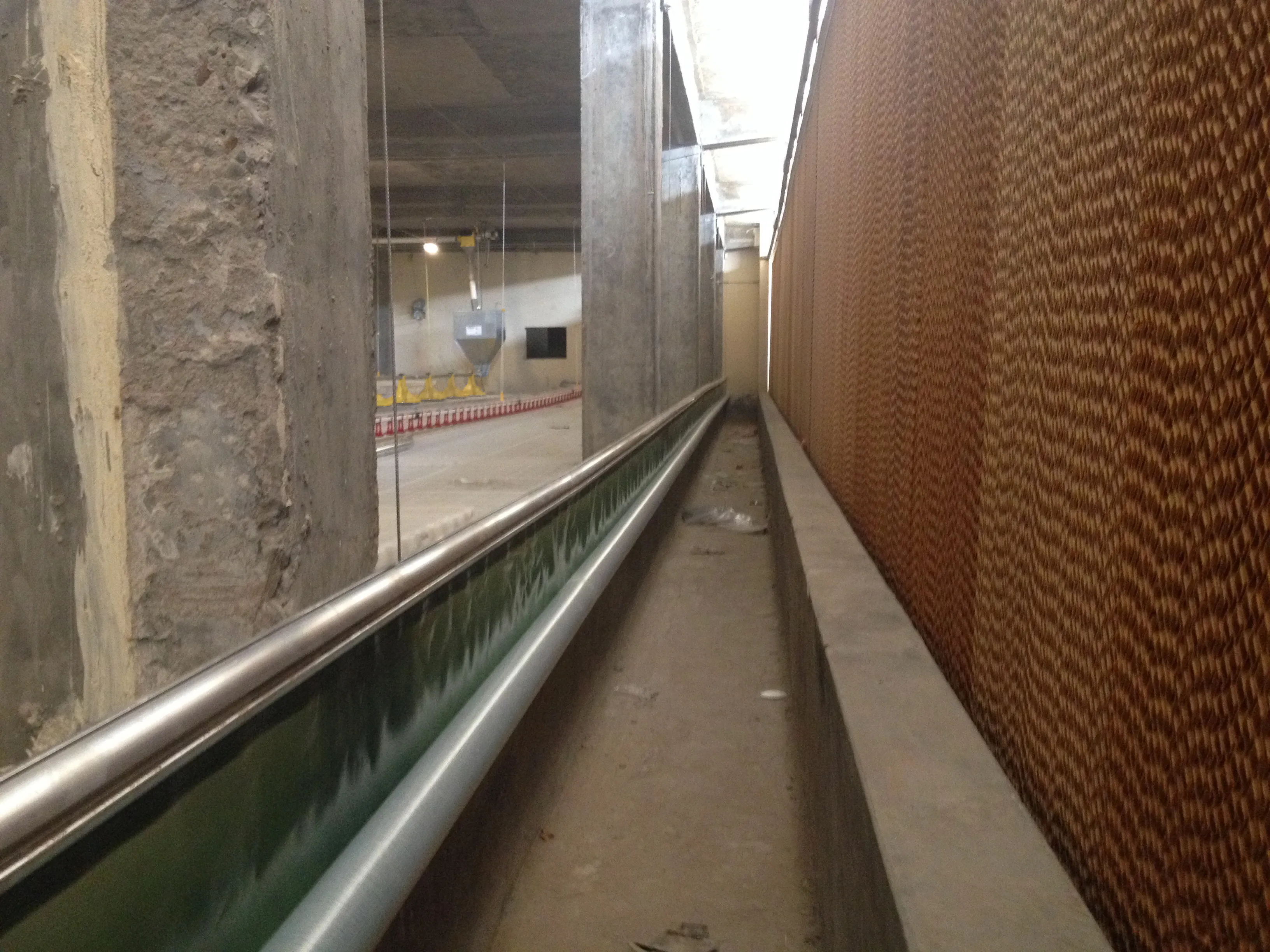 Cooling Pad Corridor