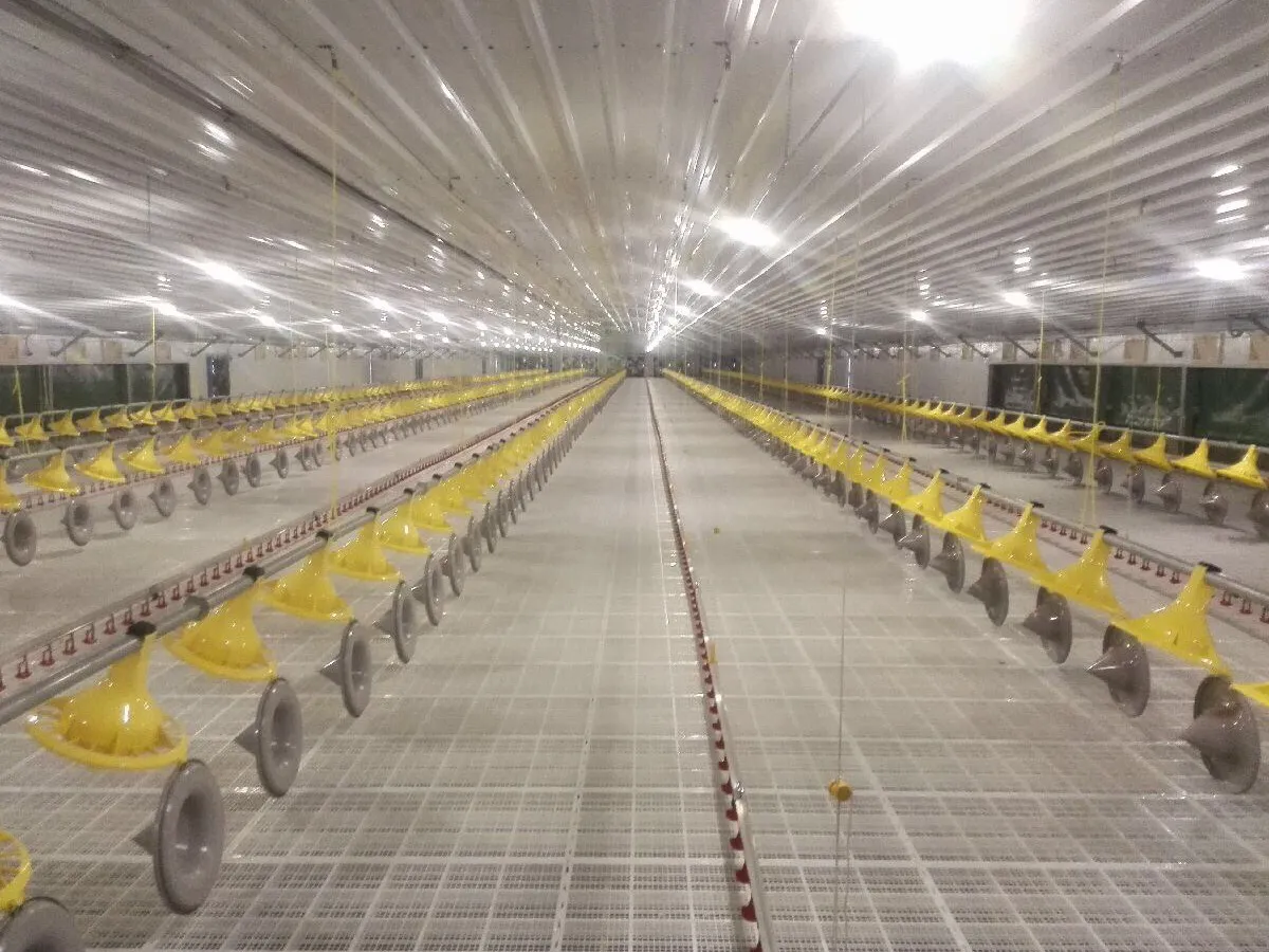 FIT Feeder | FITFEEDER Broiler Feeder Pan